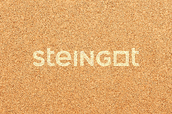 ���������� ������ Steingot �������� ���� "���������" (������� �������)
